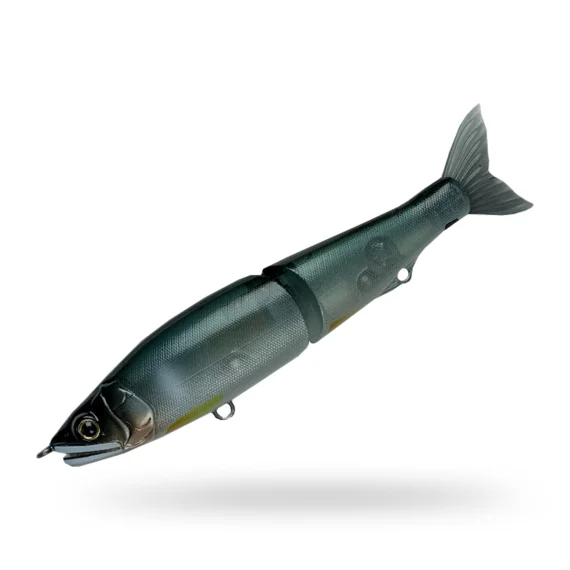 fishline202606091508483426719