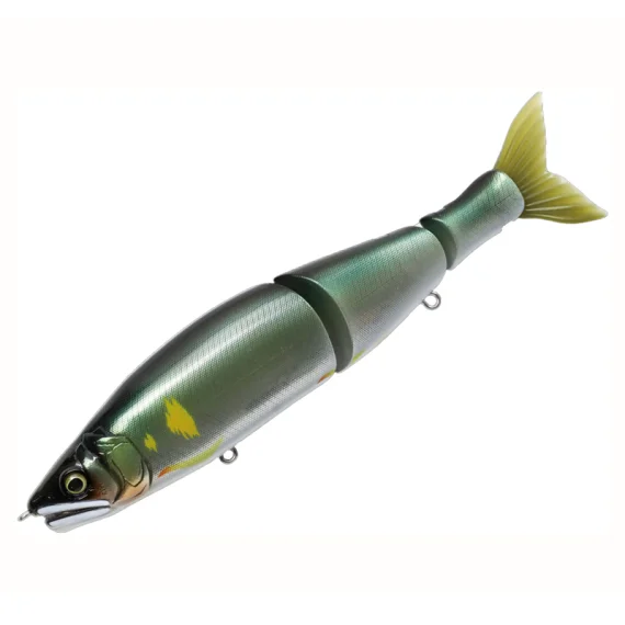 fishline202606091508513426727