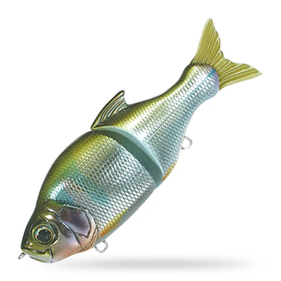 fishline202606091509263426821