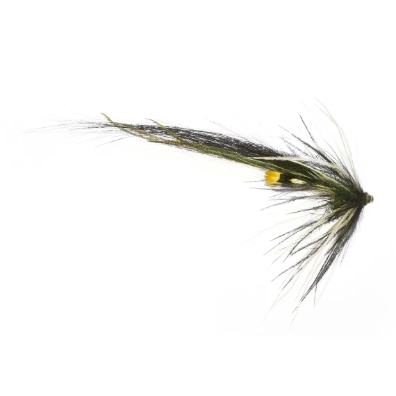 fishline202606091513343427471