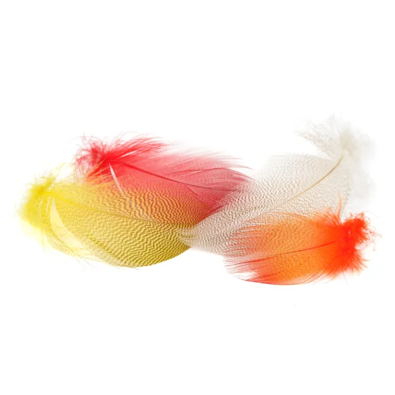 fishline202606091547263432682