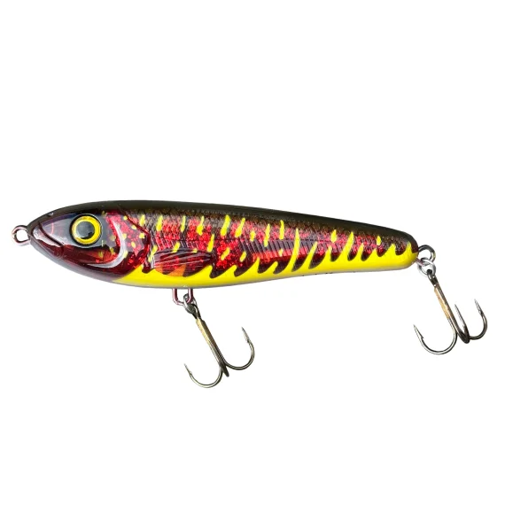 fishline202606091606183434829