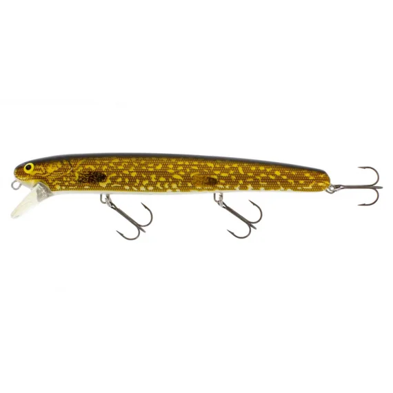fishline202606091616033435766