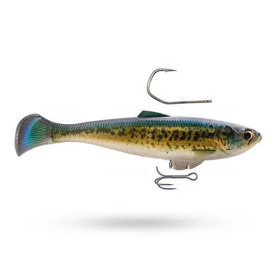 fishline202606091627333436924