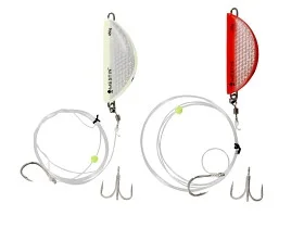 fiske202606080827153223523