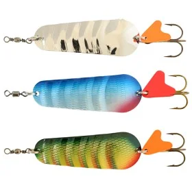 fiske202606080849523225046