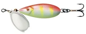 fiske202606080852403225227