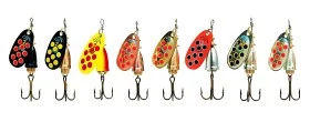 fiske202606080856403225529