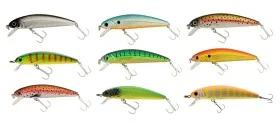 fiske202606080859333225799