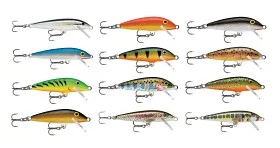 fiske202606080900003225831