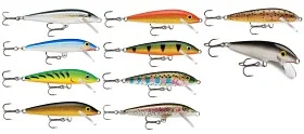 fiske202606080900033225836