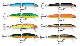 fiske202606080900313225868
