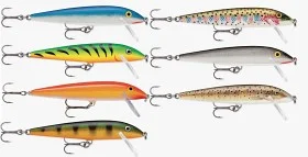 fiske202606080900493225891