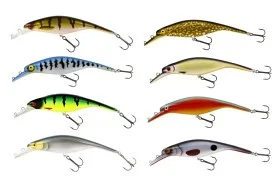 fiske202606080901213225938