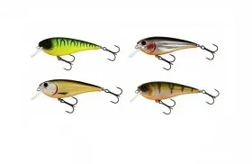 fiske202606080901253225949