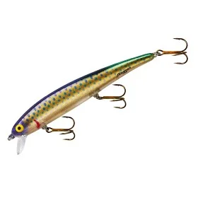 fiske202606080901353225963