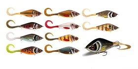 fiske202606080902043225987