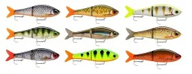 fiske202606080902463226033