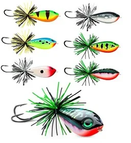 fiske202606080902573226046