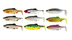 fiske202606080903223226111