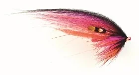 fiske202606080914473226886