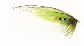 fiske202606080915303226923
