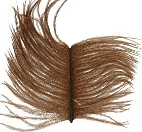 fiske202606081000483229572