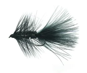 fiske202606081013073230517