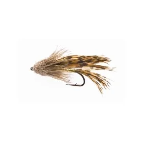 fiske202606081013183230537