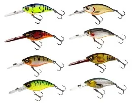 fiske202606081014263230656