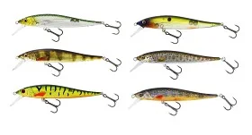 fiske202606081015013230711