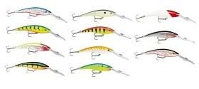 fiske202606081015023230713