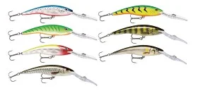 fiske202606081018043231020