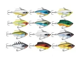 fiske202606081018123231038