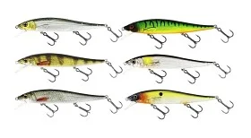 fiske202606081033463232902