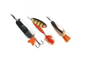 fiske202606081034033232959