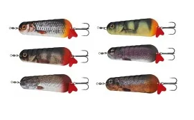 fiske202606081036293233386
