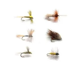 fiske202606081039283233912