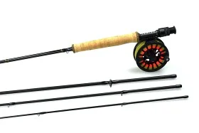 fiske202606081048103235204