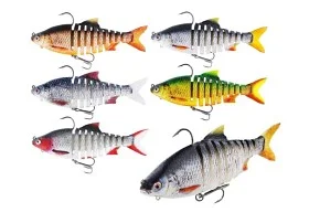 fiske202606081055543236238