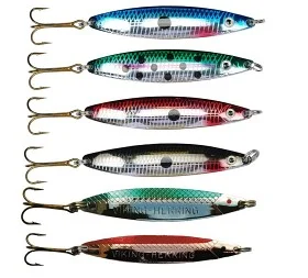 fiske202606081059503236781