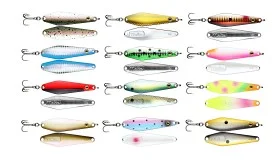 fiske202606081101013236933
