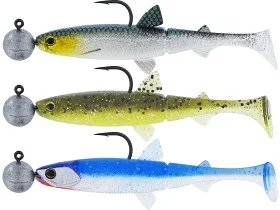 fiske202606081101473237068