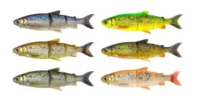 fiske202606081109023238223