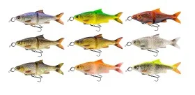 fiske202606081109053238232