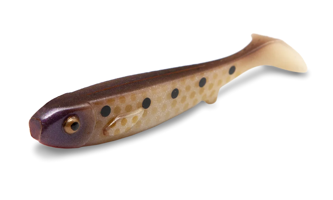 fiskedags202606080828023223655