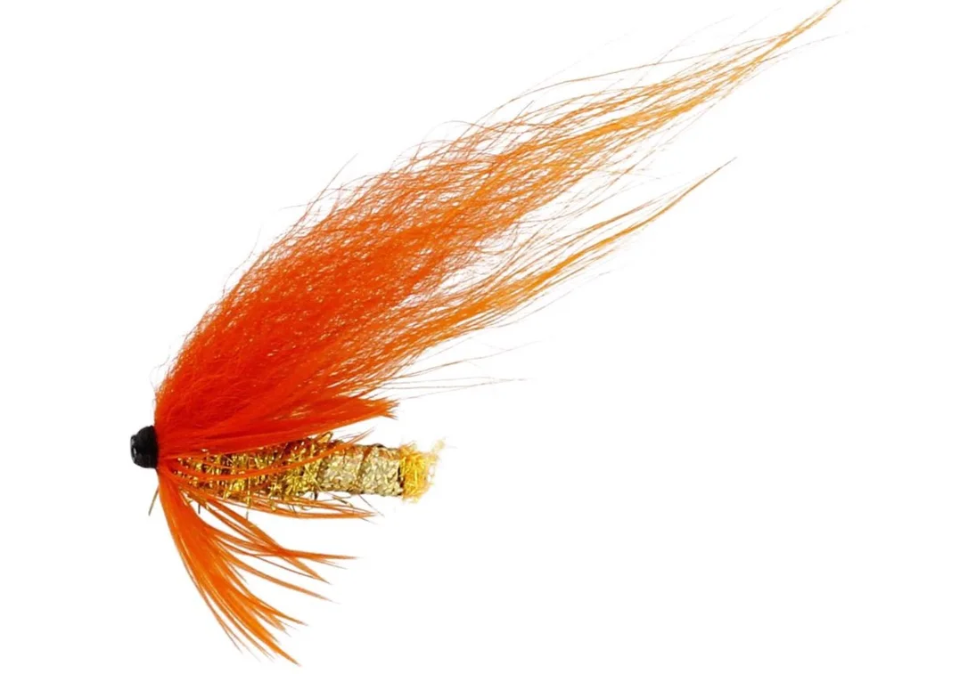 fiskedags202606080829523223990