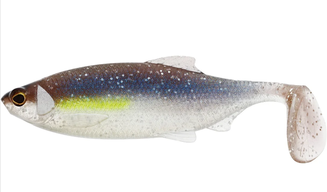 fiskedags202606080900283225864