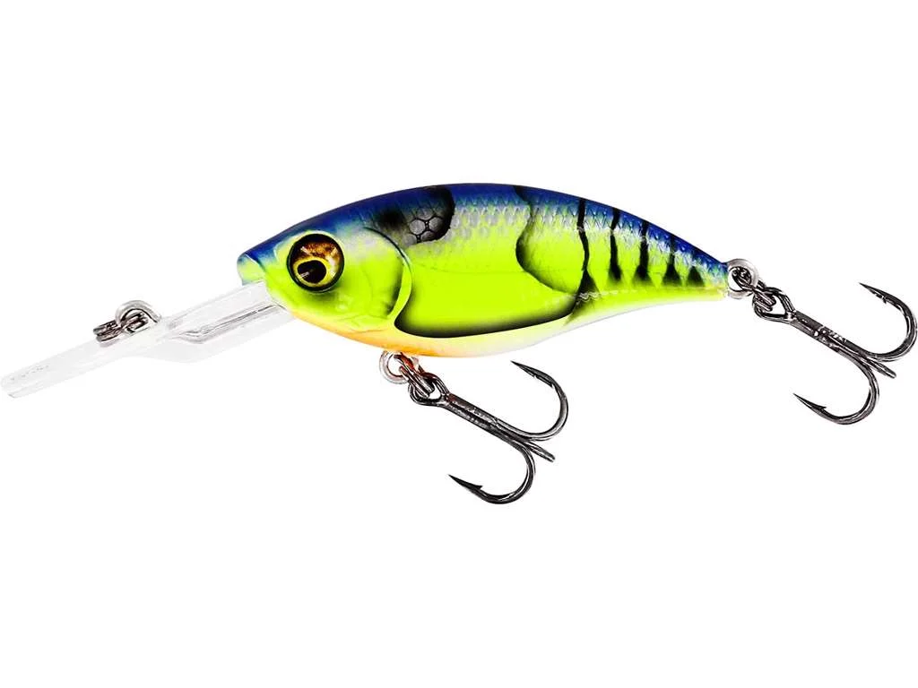 fiskedags202606080904443226318
