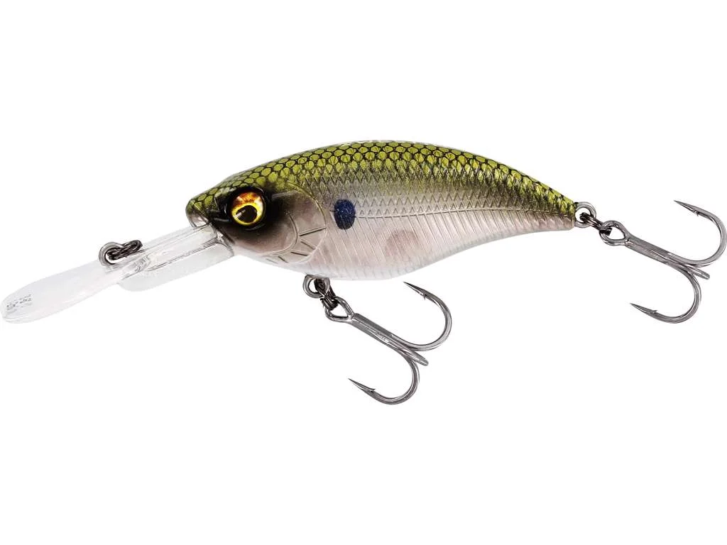 fiskedags202606080904453226324